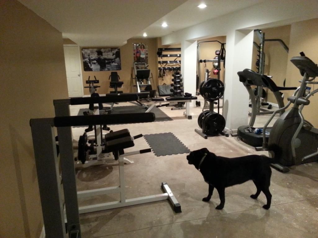 Comparing Home Gyms Forums